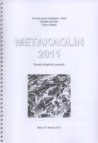 Metakaolin 2011