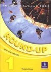 Round-Up Grammar Practice 1