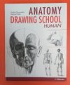 Anatomy drawing school 
