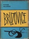 Bruzovice : Obraz života slezské vesnice ve 14. -19. století