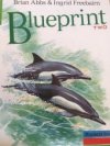 Blueprint