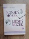 Koňský mozek - Lidský mozek