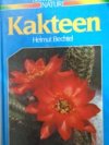 Kakteen