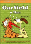 Garfield u lizu