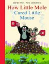 How Little Mole Cured Little Mouse