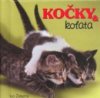 Kočky & koťata