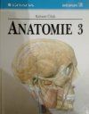 Anatomie 3