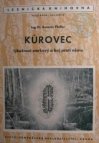 Kůrovec, lýkožrout smrkový a boj proti němu