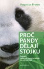 Proč pandy dělají stojku
