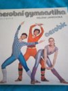 Aerobní gymnastika