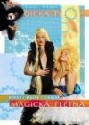 Kofroň, Plachý, Šimáček, Magická flétna