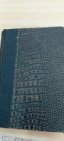ALLGEMEINES HANDWÖRTERBUCH DER BÖHMISCHEN UND DEUTSCHEN SPRACHE