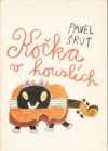Kočka v houslích