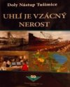 Uhlí je vzácný nerost