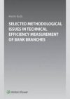 Selected Methodological Issues in Technical Efficiency Measurement of Bank Branc