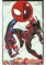 Spider-Man/Deadpool